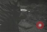 Image of Japanese-American 442nd Regimental Combat Team France, 1944, second 44 stock footage video 65675065580