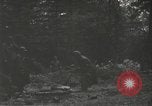 Image of Japanese-American 442nd Regimental Combat Team France, 1944, second 57 stock footage video 65675065580