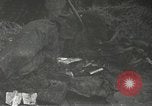 Immagine di Japanese-American 442nd Regimental Combat Team Bruyeres Francia, 1944, secondo 41 filmato di repertorio 65675065582