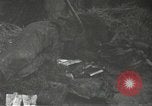 Immagine di Japanese-American 442nd Regimental Combat Team Bruyeres Francia, 1944, secondo 42 filmato di repertorio 65675065582