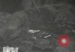 Immagine di Japanese-American 442nd Regimental Combat Team Bruyeres Francia, 1944, secondo 44 filmato di repertorio 65675065582