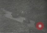 Immagine di Japanese-American 442nd Regimental Combat Team Bruyeres Francia, 1944, secondo 48 filmato di repertorio 65675065582