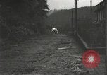 Immagine di Japanese-American fanti mobile attraverso una città Bruyeres Francia, 1944, secondo 32 filmato di repertorio 65675065584