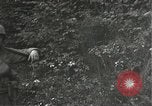 Image Japanese-American 442Équipe de combat régimentaire Bruyeres France, 1944, de la seconde 42 séquences d'archives historiques vidéo 65675065591