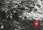 Immagine di Soldati Japanese-American si spostano in posizioni di combattimento Bruyeres Francia, 1944, secondo 6 filmato di repertorio 65675065592
