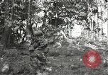 Immagine di Soldati Japanese-American si spostano in posizioni di combattimento Bruyeres Francia, 1944, secondo 10 filmato di repertorio 65675065592