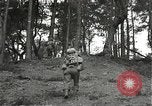 Immagine di Soldati Japanese-American si spostano in posizioni di combattimento Bruyeres Francia, 1944, secondo 14 filmato di repertorio 65675065592