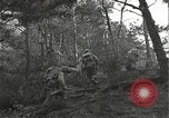 Immagine di Soldati Japanese-American si spostano in posizioni di combattimento Bruyeres Francia, 1944, secondo 21 filmato di repertorio 65675065592