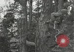 Immagine di Soldati Japanese-American si spostano in posizioni di combattimento Bruyeres Francia, 1944, secondo 62 filmato di repertorio 65675065592
