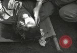 Immagine di Japanese-American 442nd Regimental Combat Team Il Belmont Francia, 1944, secondo 18 filmato di repertorio 65675065593