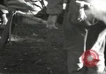 Immagine di Japanese-American 442nd Regimental Combat Team Il Belmont Francia, 1944, secondo 39 filmato di repertorio 65675065593