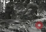 Immagine di Japanese-American 442nd Regimental Combat Team Il Belmont Francia, 1944, secondo 43 filmato di repertorio 65675065593