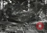 Immagine di Japanese-American 442nd Regimental Combat Team Il Belmont Francia, 1944, secondo 46 filmato di repertorio 65675065593