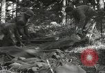 Immagine di Japanese-American 442nd Regimental Combat Team Il Belmont Francia, 1944, secondo 48 filmato di repertorio 65675065593