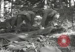 Immagine di Japanese-American 442nd Regimental Combat Team Il Belmont Francia, 1944, secondo 51 filmato di repertorio 65675065593