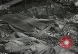 Immagine di Japanese-American 442nd Regimental Combat Team Il Belmont Francia, 1944, secondo 59 filmato di repertorio 65675065593