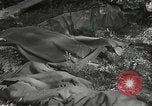 Immagine di Japanese-American 442nd Regimental Combat Team Il Belmont Francia, 1944, secondo 60 filmato di repertorio 65675065593