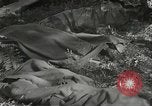 Immagine di Japanese-American 442nd Regimental Combat Team Il Belmont Francia, 1944, secondo 62 filmato di repertorio 65675065593