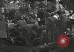 Image Japanese-American 442Équipe de combat régimentaire Belmont France, 1944, de la seconde 33 séquences d'archives historiques vidéo 65675065594