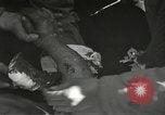 Image blessés de l'équipe de combat régimentaire 442traitées Belmont France, 1944, de la seconde 34 séquences d'archives historiques vidéo 65675065595