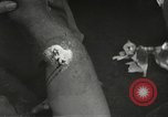 Image blessés de l'équipe de combat régimentaire 442traitées Belmont France, 1944, de la seconde 44 séquences d'archives historiques vidéo 65675065595