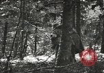 Image of American-Japanese infantry France, 1944, second 12 stock footage video 65675065607