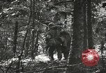 Image of American-Japanese infantry France, 1944, second 13 stock footage video 65675065607