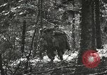 Image of American-Japanese infantry France, 1944, second 14 stock footage video 65675065607