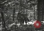 Image of American-Japanese infantry France, 1944, second 15 stock footage video 65675065607