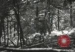 Image of American-Japanese infantry France, 1944, second 17 stock footage video 65675065607