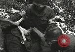 Image of American-Japanese infantry France, 1944, second 24 stock footage video 65675065607