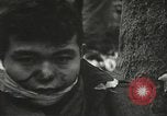 Image of American-Japanese infantry France, 1944, second 40 stock footage video 65675065607