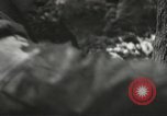 Image of American-Japanese infantry France, 1944, second 42 stock footage video 65675065607