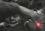 Image of American-Japanese infantry France, 1944, second 44 stock footage video 65675065607