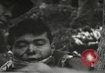 Image of American-Japanese infantry France, 1944, second 45 stock footage video 65675065607