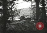 Image of American-Japanese infantry France, 1944, second 13 stock footage video 65675065608
