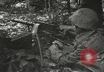 Image of American-Japanese infantry France, 1944, second 14 stock footage video 65675065608