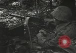 Image of American-Japanese infantry France, 1944, second 15 stock footage video 65675065608