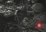 Image of American-Japanese infantry France, 1944, second 16 stock footage video 65675065608