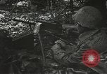 Image of American-Japanese infantry France, 1944, second 17 stock footage video 65675065608