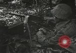 Image of American-Japanese infantry France, 1944, second 18 stock footage video 65675065608