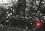 Image of American-Japanese infantry France, 1944, second 36 stock footage video 65675065608