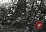 Image of American-Japanese infantry France, 1944, second 37 stock footage video 65675065608