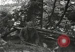 Image of American-Japanese infantry France, 1944, second 38 stock footage video 65675065608