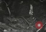 Image of American-Japanese infantry France, 1944, second 39 stock footage video 65675065608