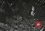 Image of American-Japanese infantry France, 1944, second 42 stock footage video 65675065608