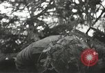 Image of American-Japanese infantry France, 1944, second 46 stock footage video 65675065608