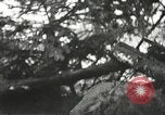 Image of American-Japanese infantry France, 1944, second 48 stock footage video 65675065608