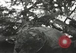 Image of American-Japanese infantry France, 1944, second 49 stock footage video 65675065608