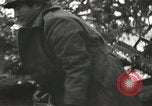 Image of American-Japanese infantry France, 1944, second 50 stock footage video 65675065608